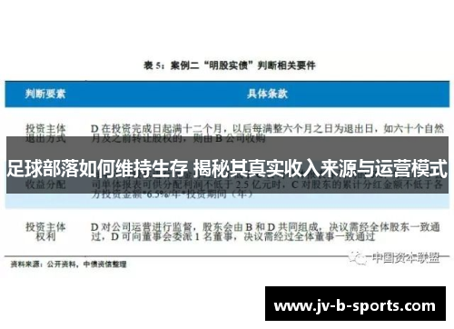 足球部落如何维持生存 揭秘其真实收入来源与运营模式