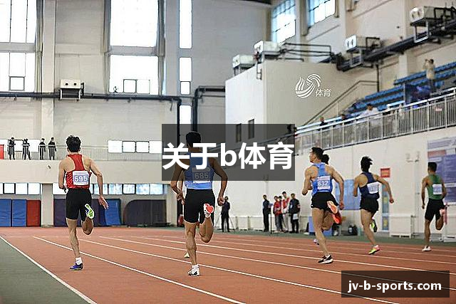 关于b体育